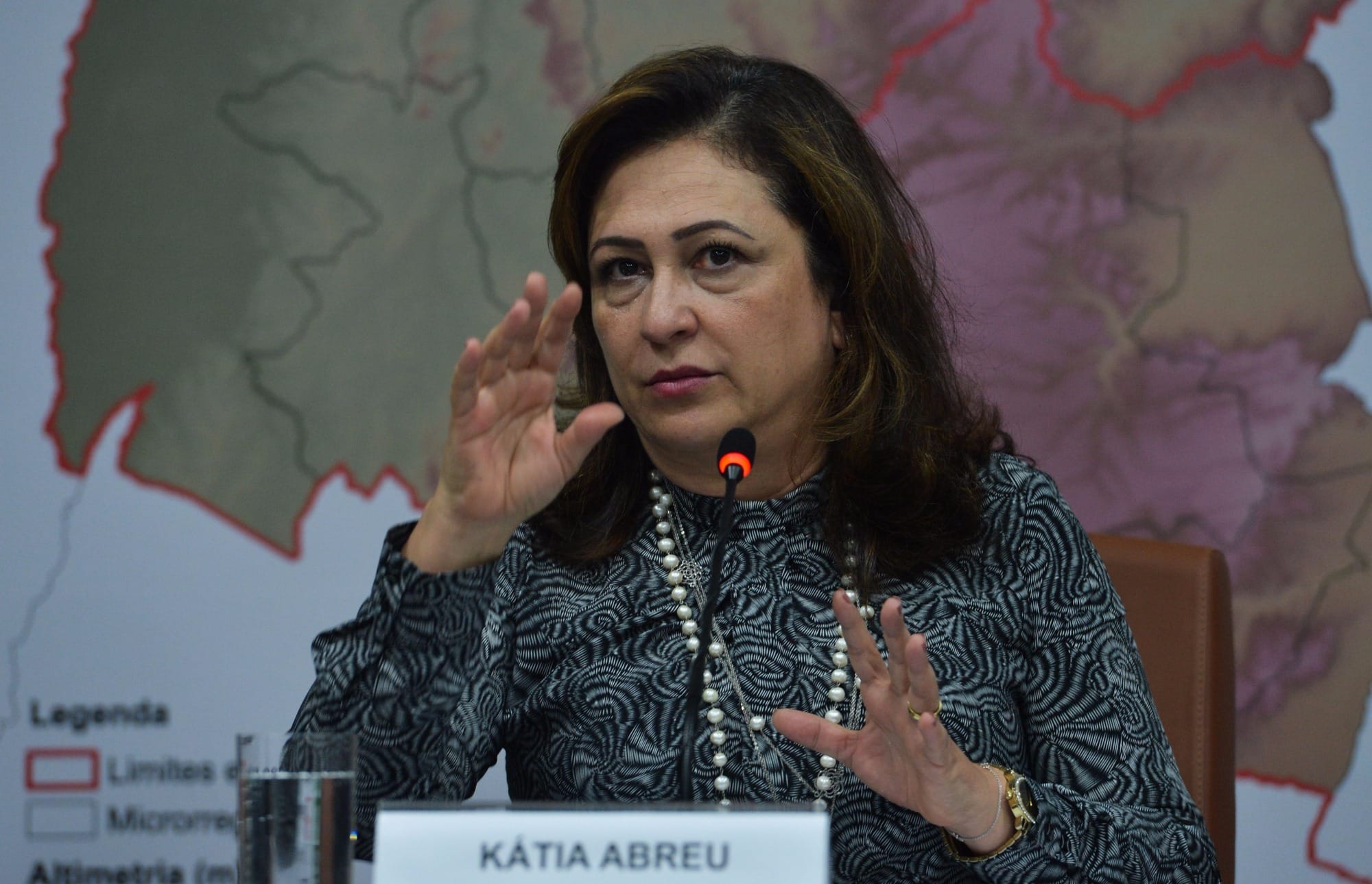 Senadora Katia Abreu envia carta ao Itamaraty sobre mercado chinês
