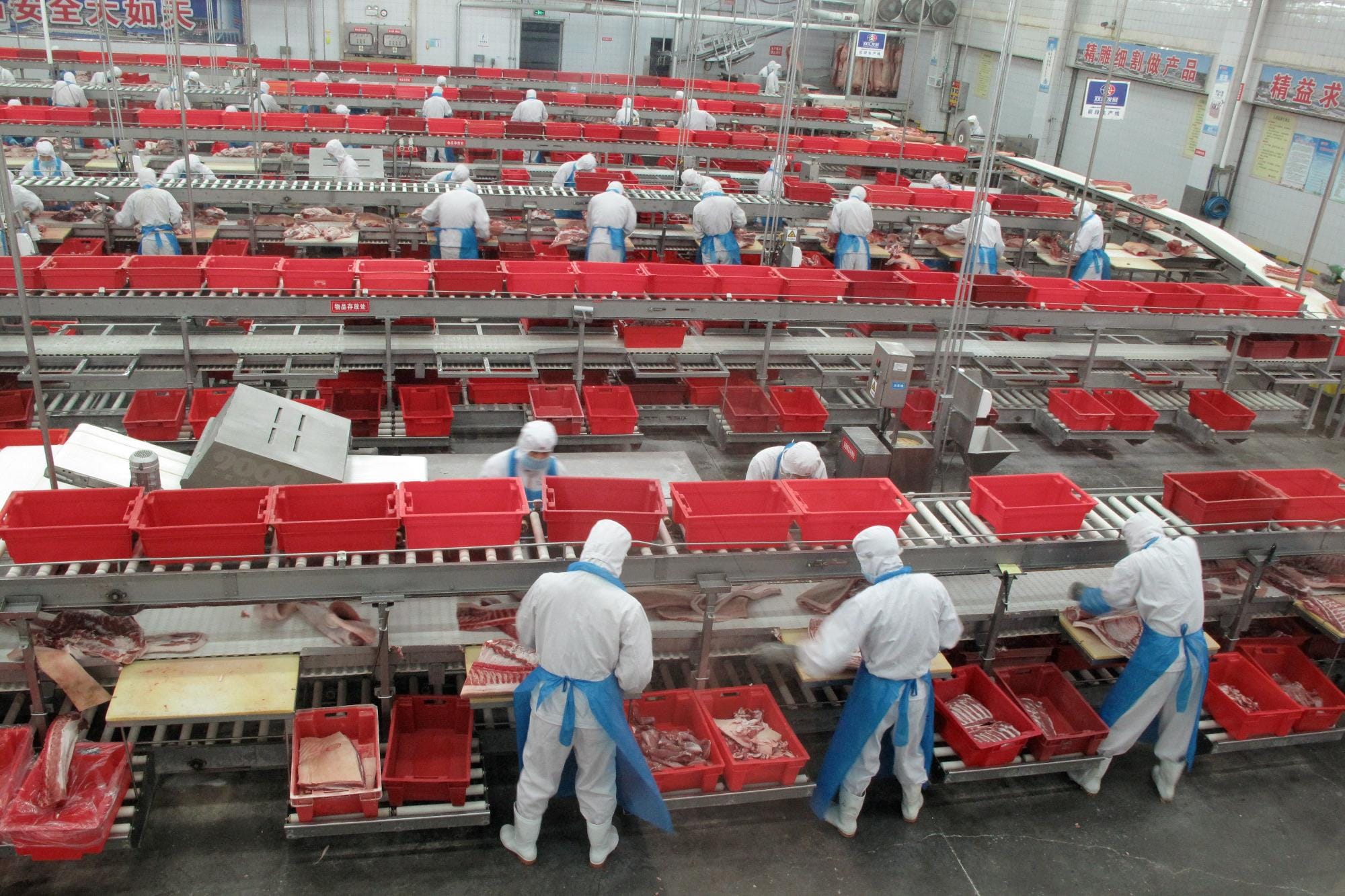 Maior produtora de suínos do mundo teve aumento de 34,6% no lucro em 2022