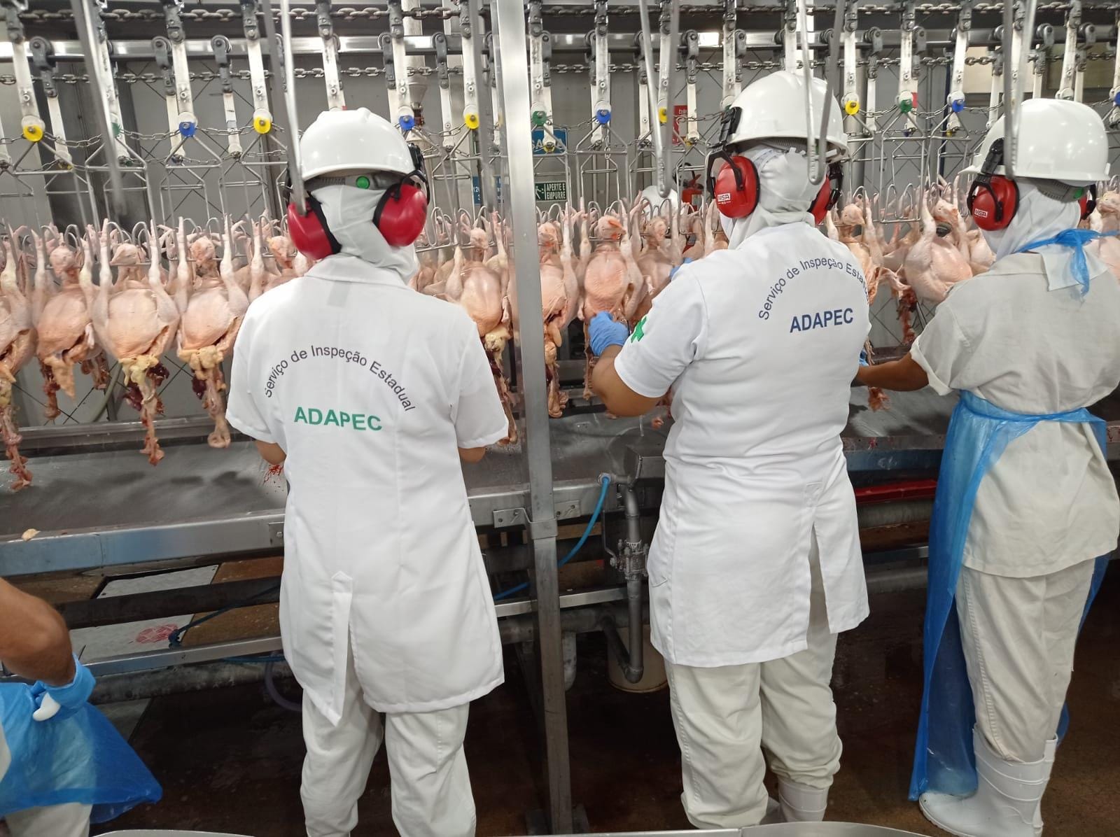 Amostras laboratoriais feitas pelo Mapa em empresas cadastradas no SIE e com selo SISBI recebem aprovação