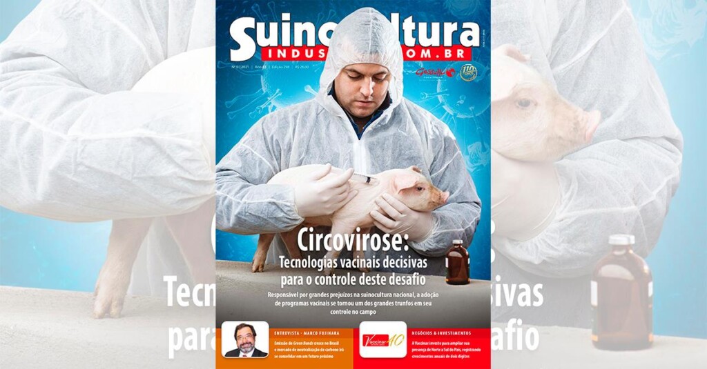 Suinocultura Industrial – Passo essencial para o controle do PCV2