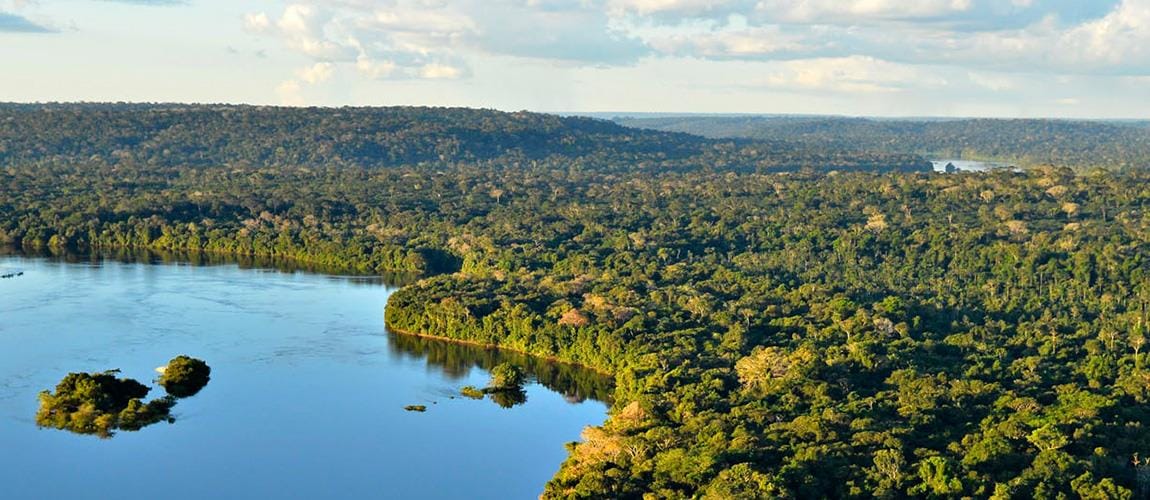 Carrefour Brasil torna-se primeira empresa a adotar Unidade de Conservação Ambiental da Amazônia