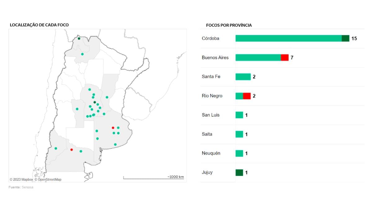 Focos da influenza aviária na Argentina