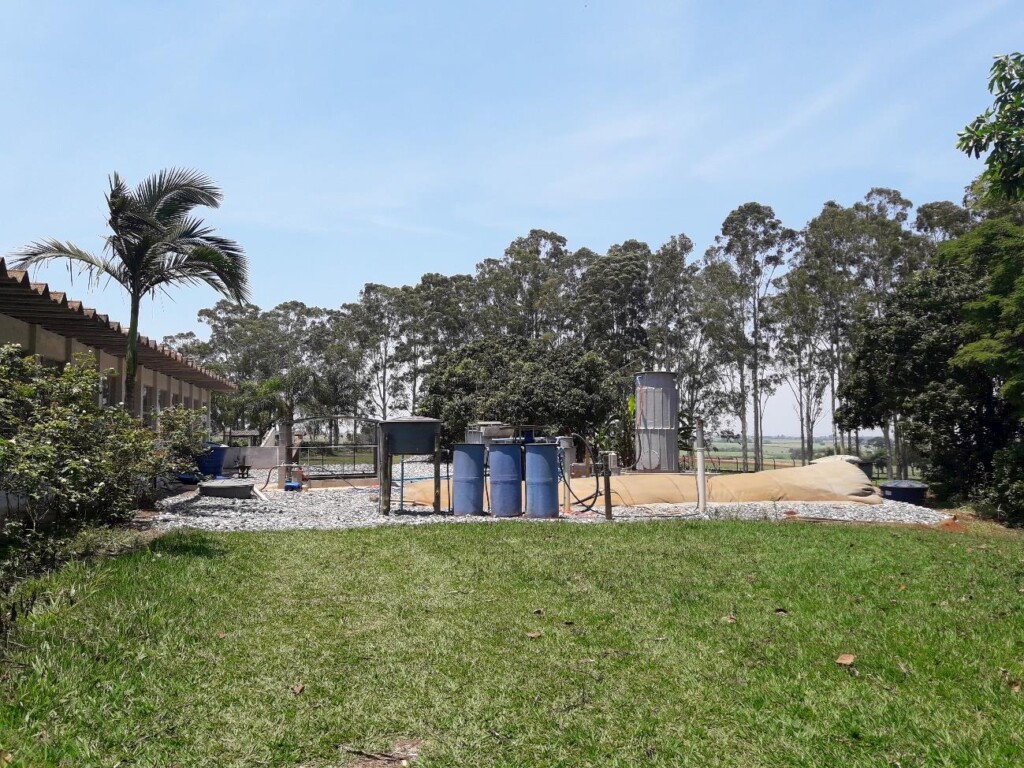 Pesquisas da SAA disponibilizarão tecnologia IZ com menor impacto ambiental para produção de suínos