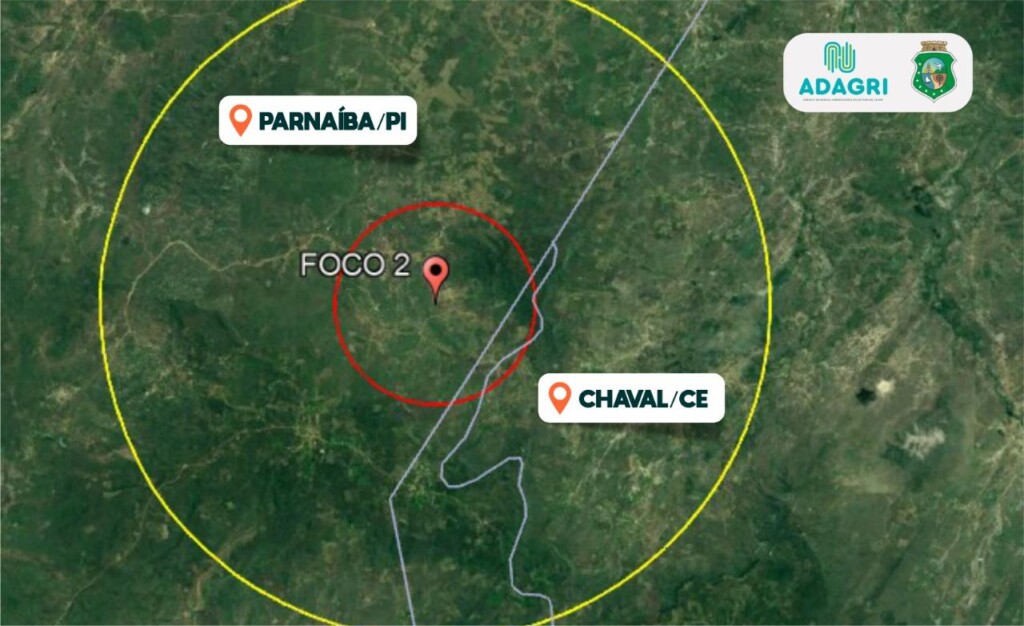 Adagri monitora propriedades com suínos nos municípios de Chaval e Granja
