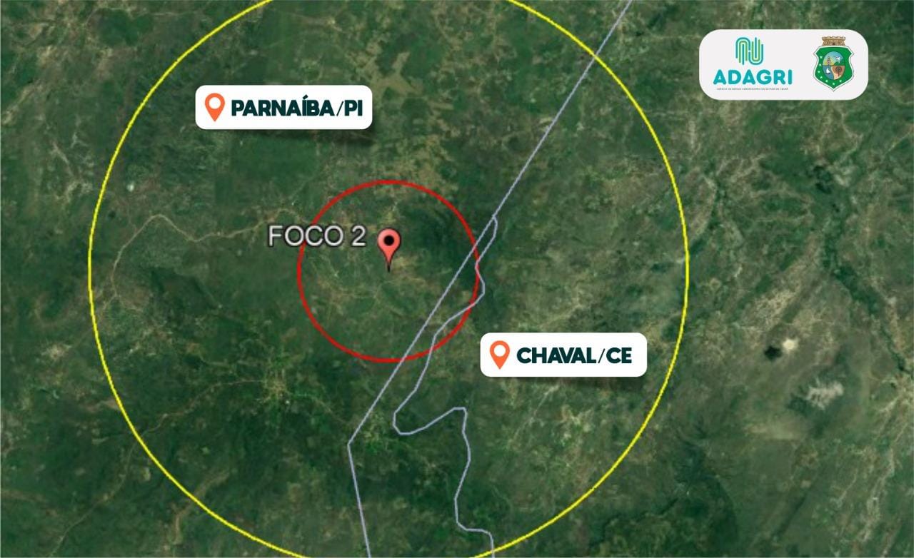 Adagri monitora propriedades com suínos nos municípios de Chaval e Granja