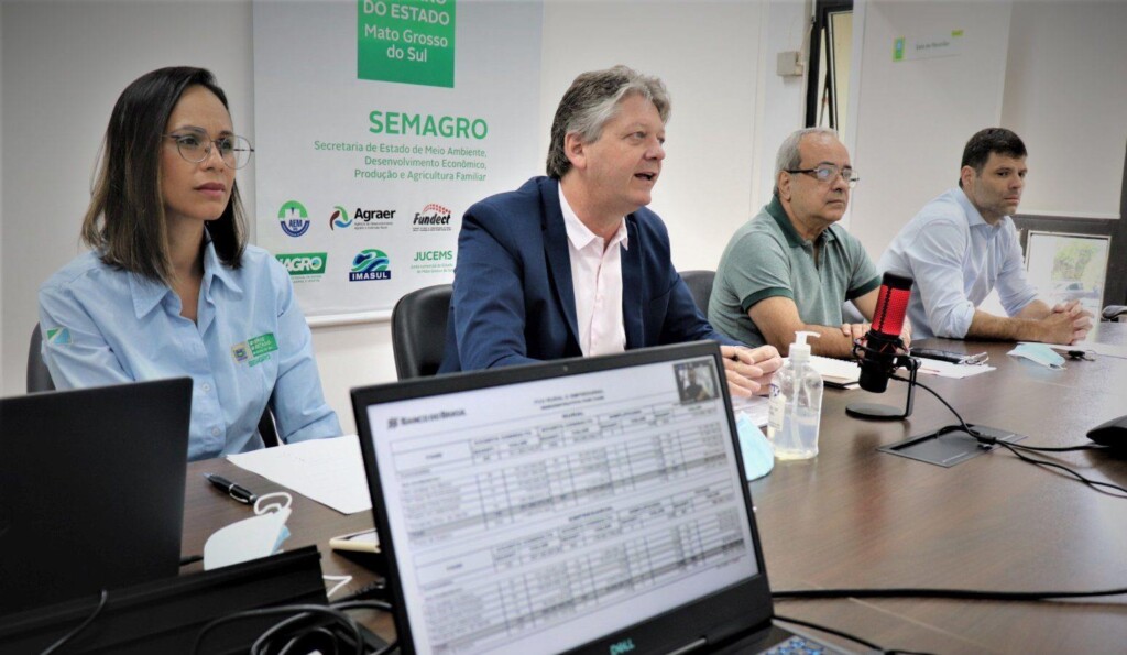 Cooperativa Copérdia vai construir 8 granjas para terminação de suínos no MS