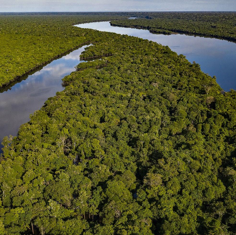 Faesc festeja 10 anos do Código Florestal brasileiro
