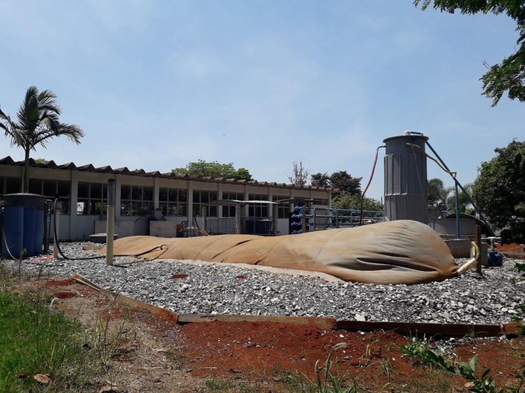 Suinocultura, potencial fonte de energia com tecnologia IZ e JLTec