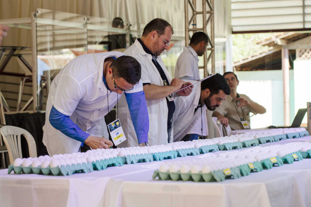 AVES e Coopeavi realizam concursos de qualidade do ovo durante a programação da 4ª FAVESU