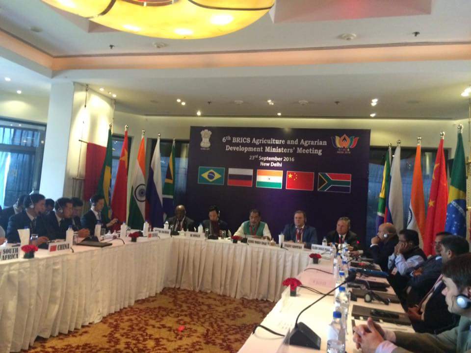 Mapa defende mais cooperação para garantir a segurança alimentar global