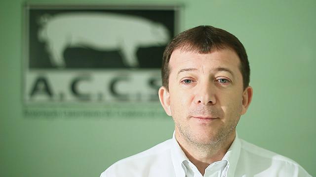 Dependência da China preocupa suinocultores de SC