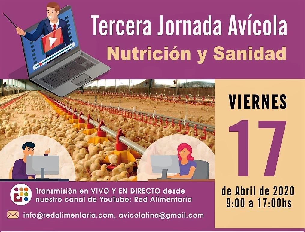 Com o tema Nutrição e Sanidade, Terceira Jornada Avícola será por videoconferência