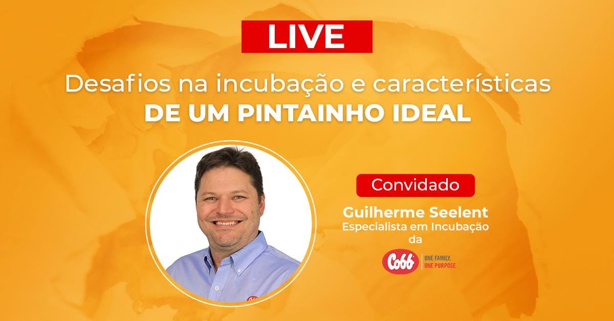 Em live, especialista da Cobb fala sobre os atuais desafios em incubação Em live, especialista da Cobb fala sobre os atuais desafios em incubação