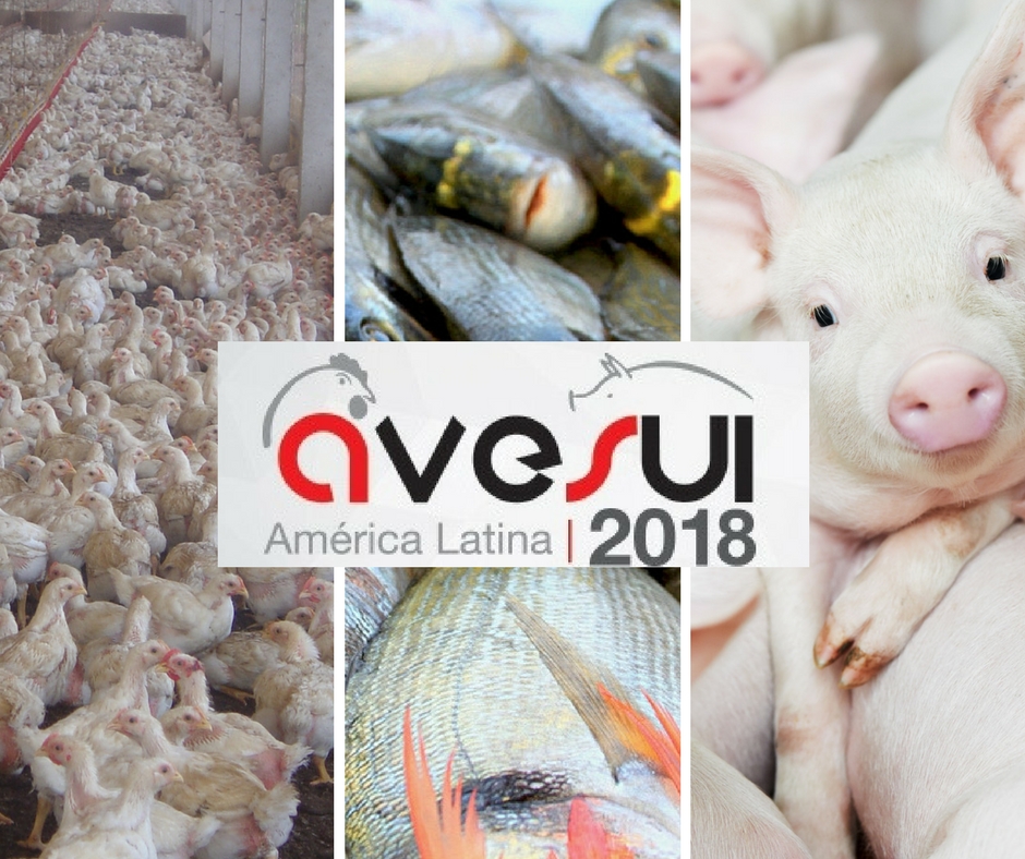 Centro produtivo da América Latina será palco da AveSui 2018