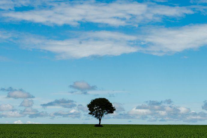 Brasil pode deixar de emitir 48 milhões de toneladas de CO2 por ano com Usinas de Recuperação Energética