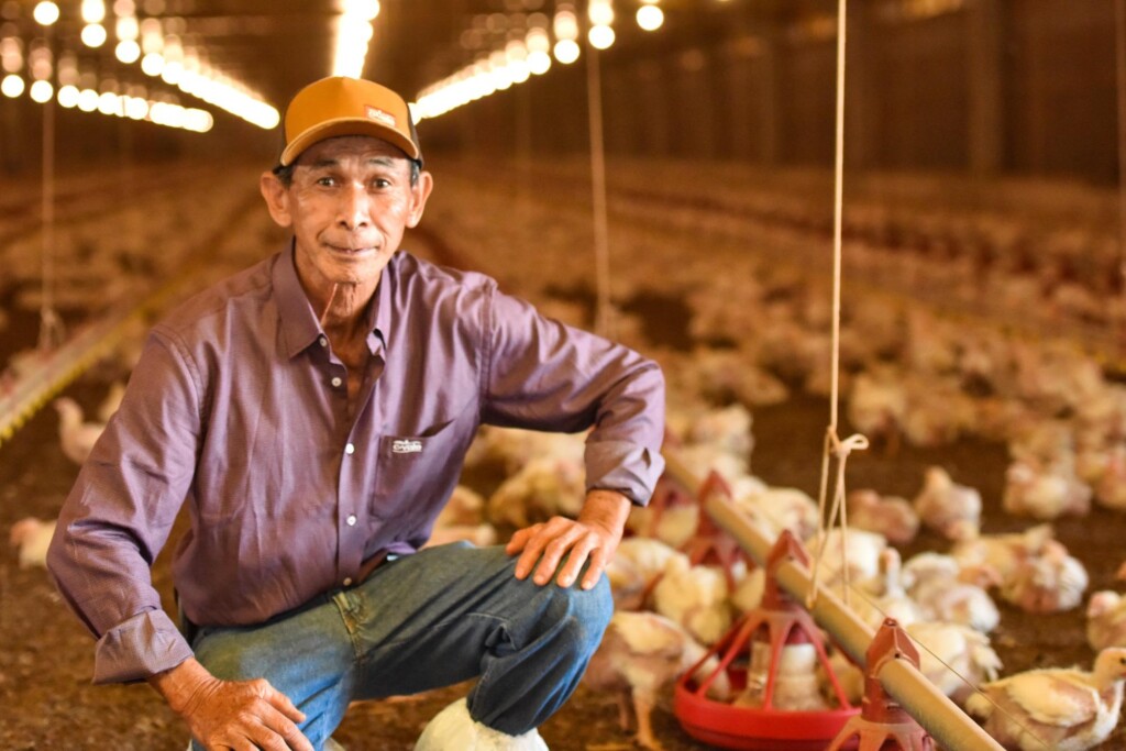 Orgulho de produzir alimentos para o Brasil e o mundo