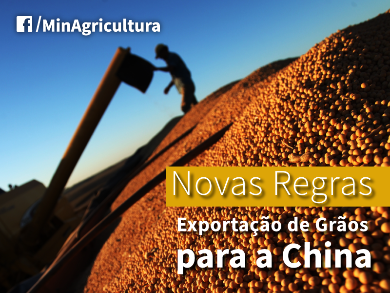 Conheça as novas regras para exportação de grãos para a China