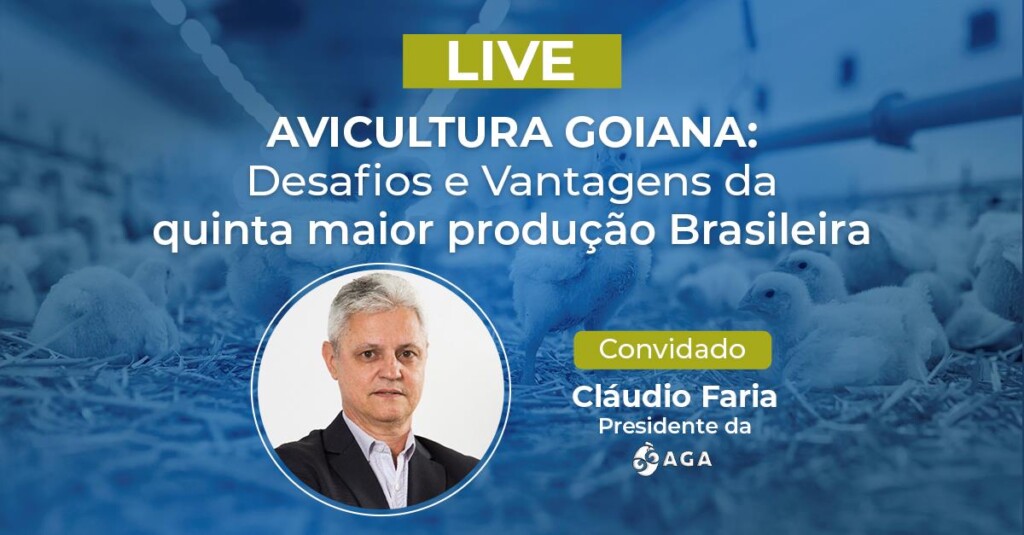 DAQUI A POUCO: Em live, presidente da AGA fala sobre crescimento da avicultura goiana