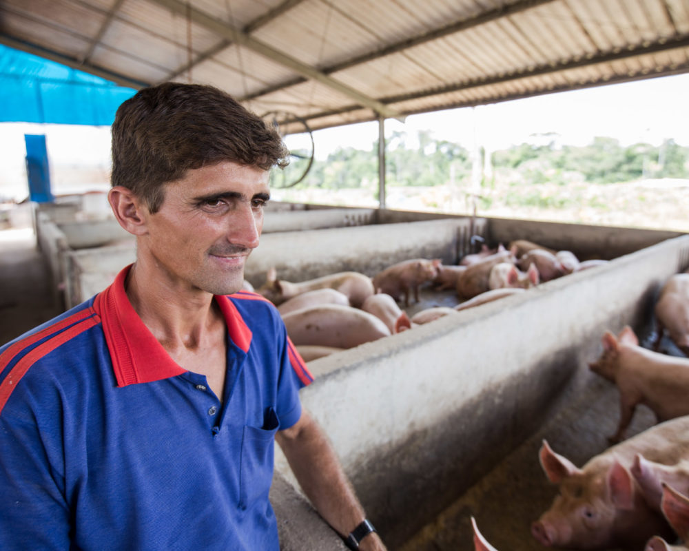Em seu primeiro ano, Dom Porquito vence desafios e conquista mercados