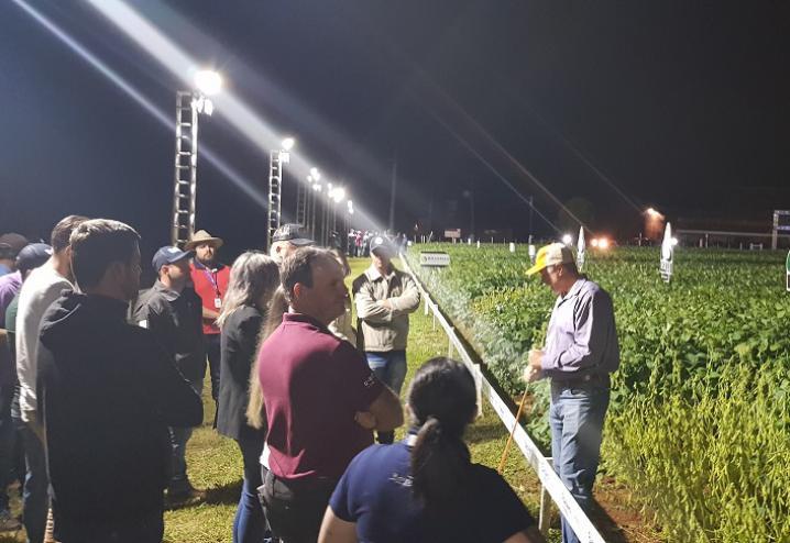 Frísia prepara Noite de Campo para demonstrar genéticas de soja