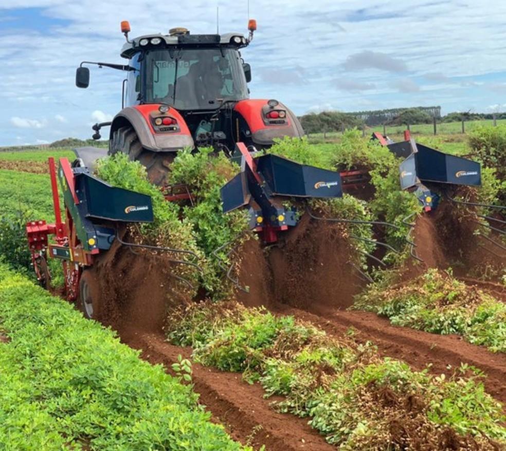 Agrogalaxy busca R$ 400 milhões em IPO reformulado