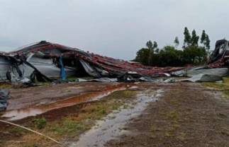 No Paraná, aviários são destruídos durante temporal em Ampére