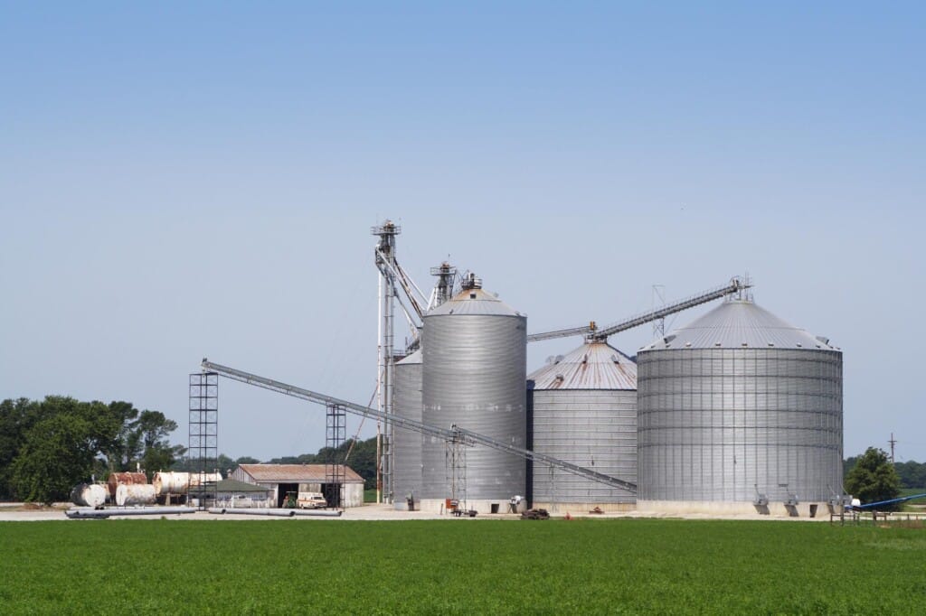 Demanda de rações para suínos avançou 3,6% e atingiu 14,6 milhões de toneladas