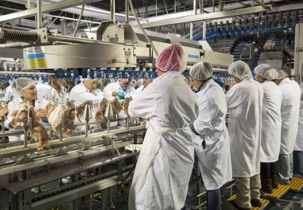 Fieldale Farms faz acordo para se livrar de acusações de formação de cartel