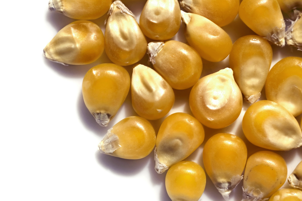 Demanda enfraquecida mantêm pressão sobre valores