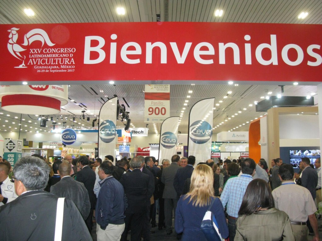 Congresso Latino Americano de Avicultura ocorre em outubro