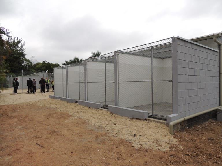 Ministério da Agricultura instala estrutura própria para cães farejadores no Aeroporto Internacional de Guarulhos