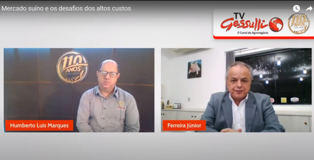 Com custos elevados, patamar do suíno vivo teria de se manter por até seis meses em R$ 185