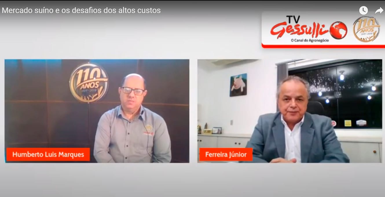Com custos elevados, patamar do suíno vivo teria de se manter por até seis meses em R$ 185