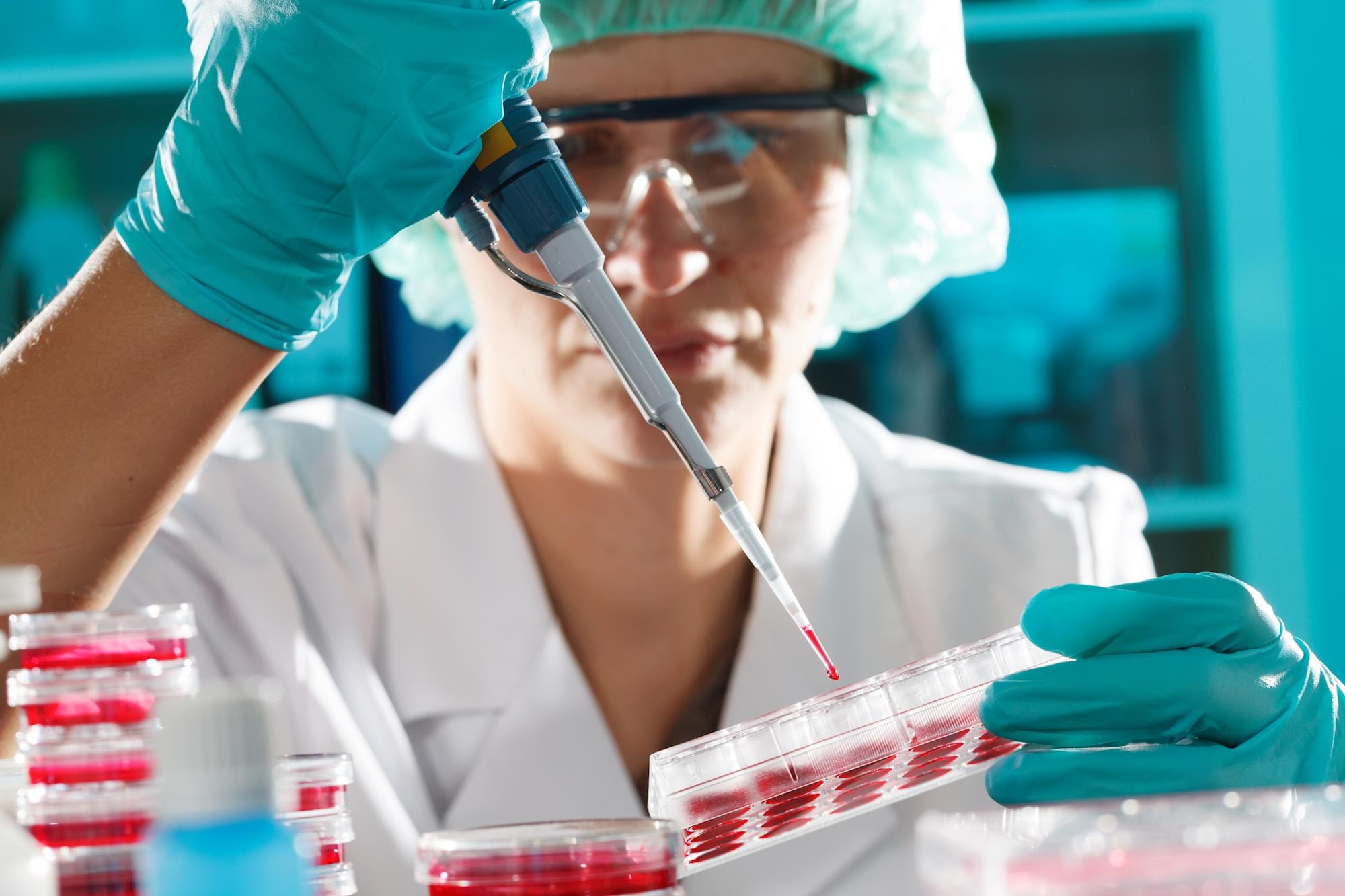 Novo alerta sobre as bactérias “invencíveis”