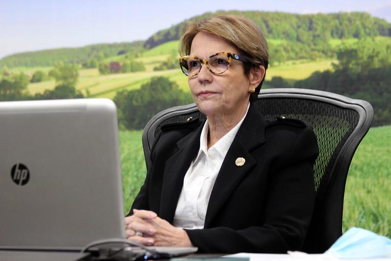 Tereza Cristina: CTNBio terá ‘novidades’ sobre milho dos EUA