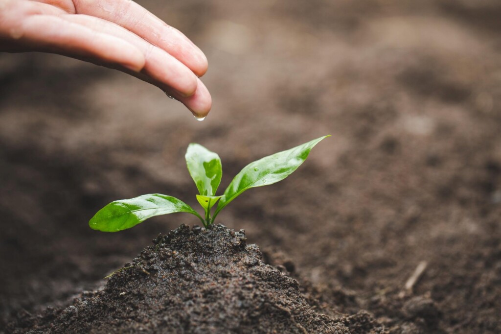 O futuro e os alimentos: a dependência do Brasil com relação aos minerais (fertilizantes)