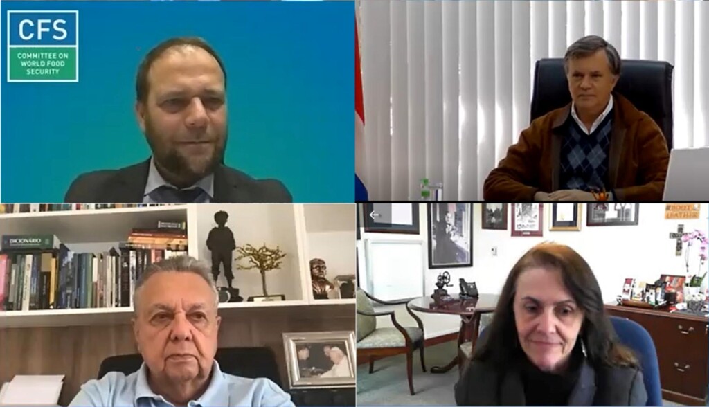 Comitê de Segurança Alimentar Mundial adverte que só com sistemas agroalimentares mais justos e inclusivos os ODS serão alcançados