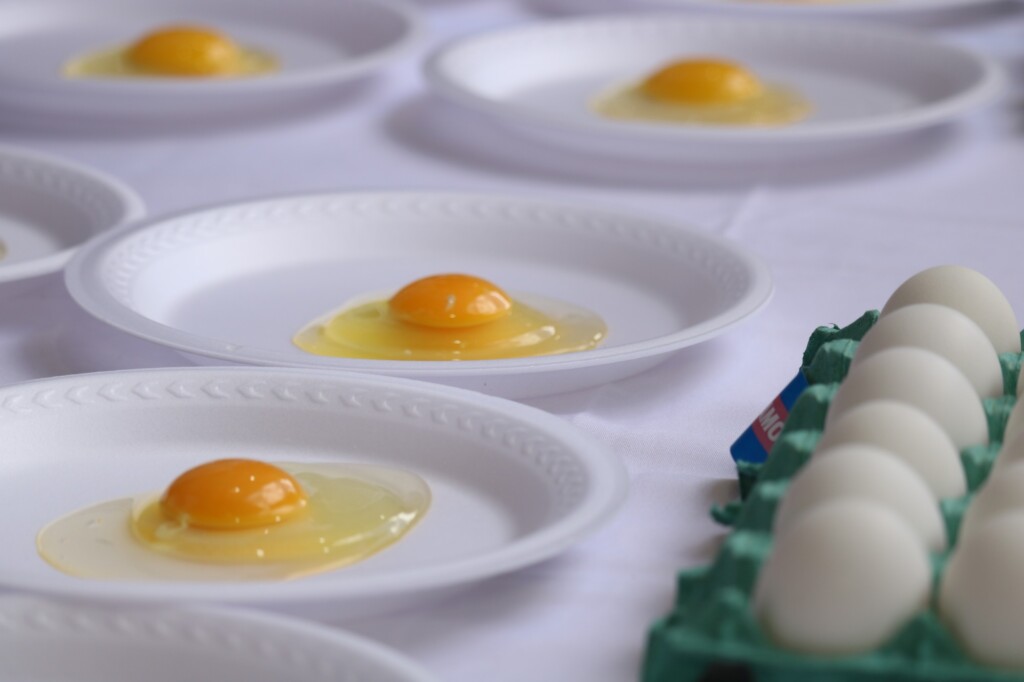 Avicultura capixaba promove concursos de qualidade do ovo