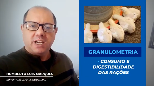 Veja os destaques da próxima edição da Avicultura Industrial