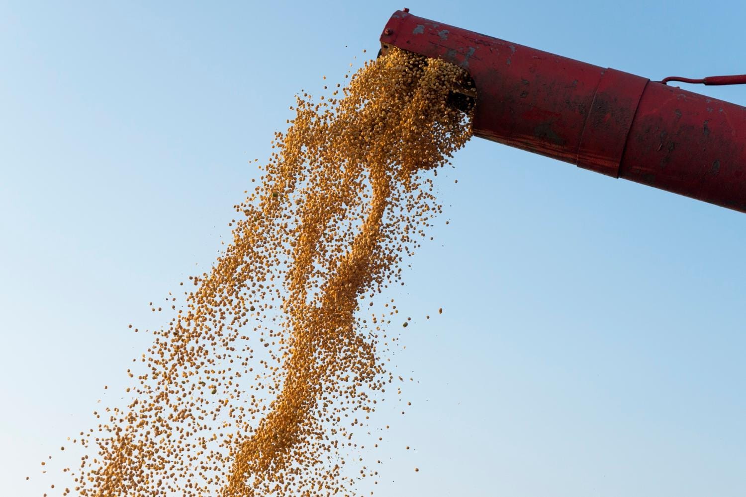 Cadeia de soja e biodiesel corresponde a quase um terço do PIB do agro