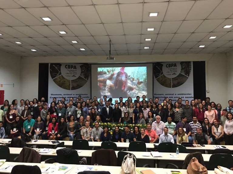 Brasil avança no debate sobre bem-estar animal