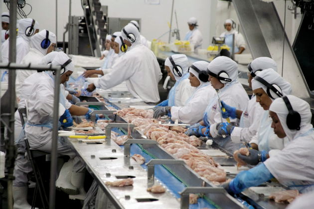 Avicultura: uma cultura sobre rodas