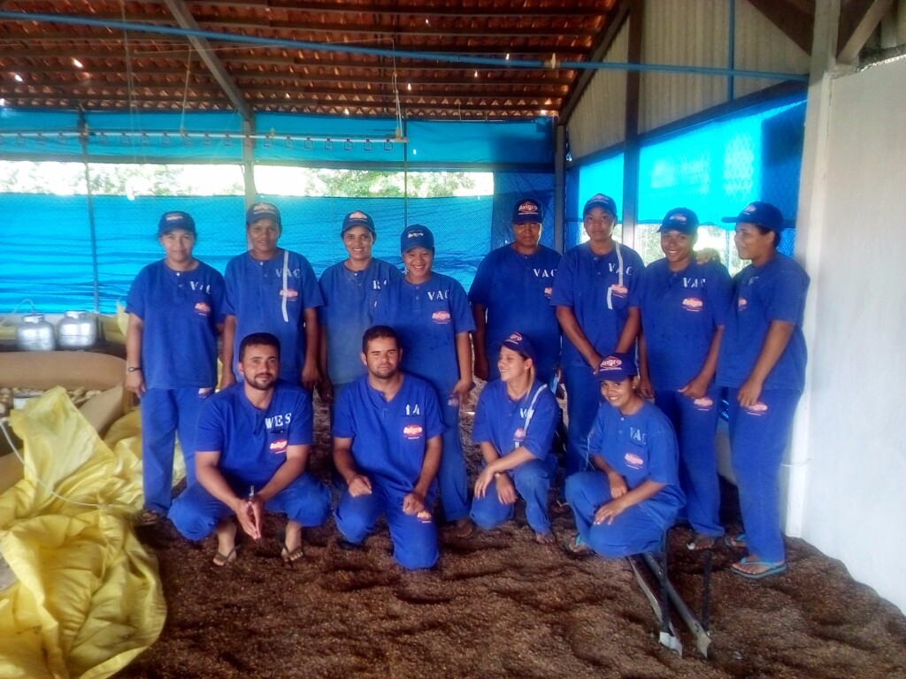 Avigro realiza treinamento sobre vacinação via ocular contra coccidiose aviávia