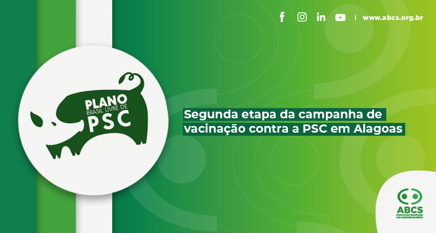 ABCS, associações estaduais e MAPA reúnem recursos para a 2ª etapa de vacinação contra PSC