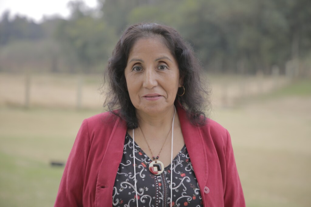 5 Perguntas – com Carmen Josefina Contreras Castillo, da Esalq/USP