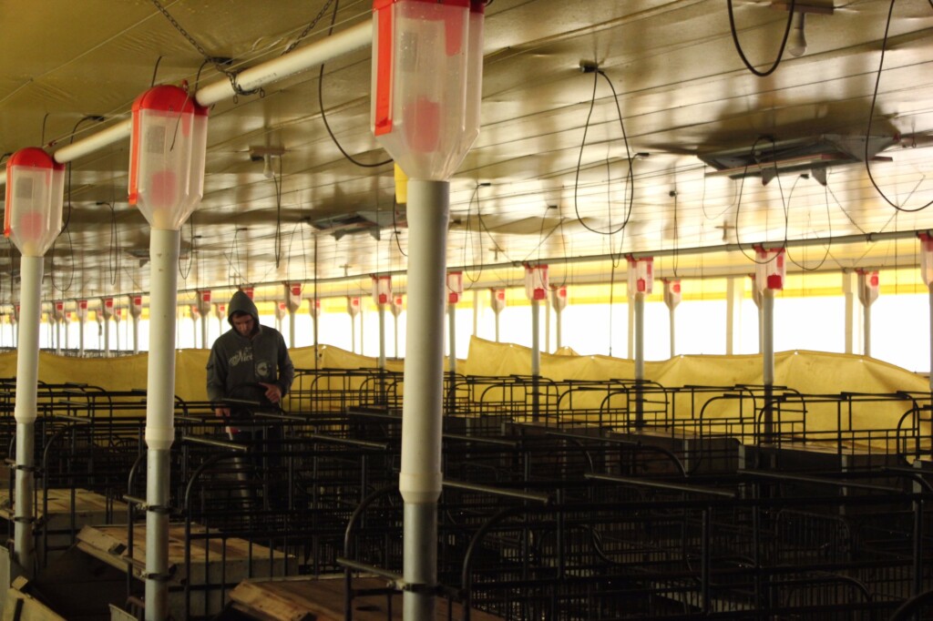 FMVZ USP lança manual técnico operacional de biossegurança para a Covid-19