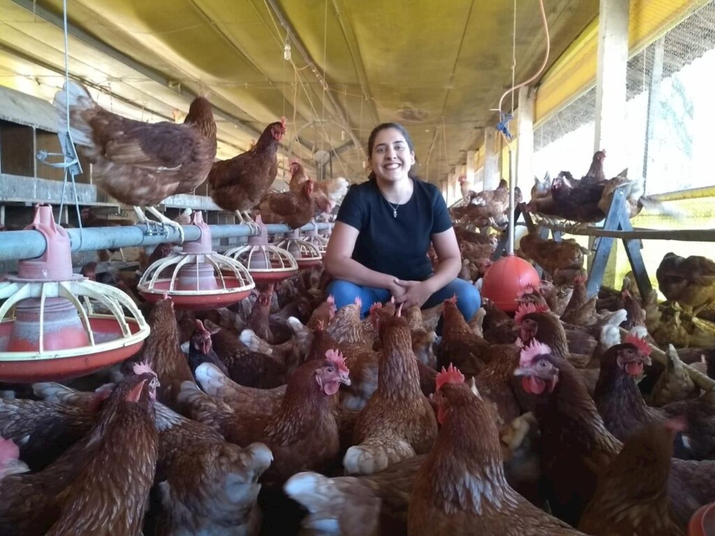 Pernambuco recebe curso sobre os sistemas cage free e caipira