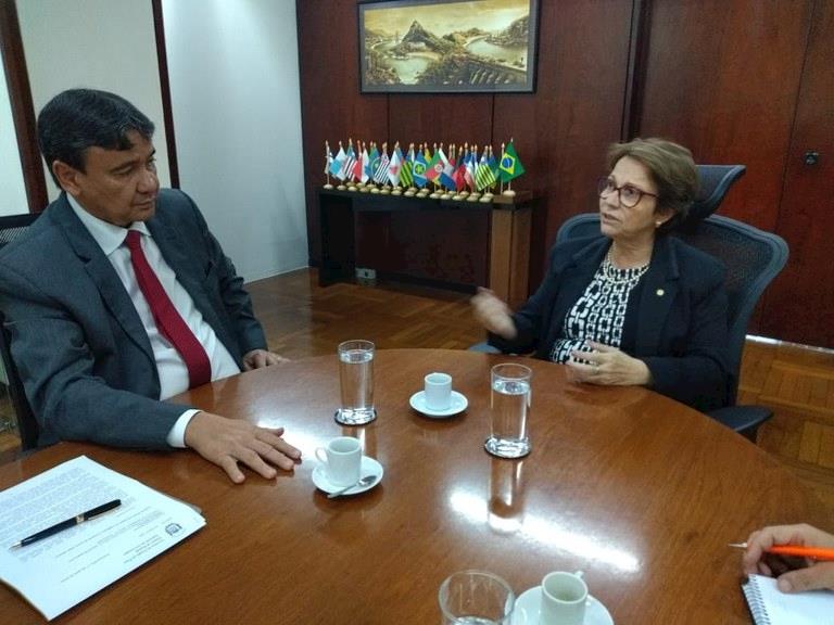 Mapa e estados do Nordeste realizarão ação integrada para erradicar peste suína clássica