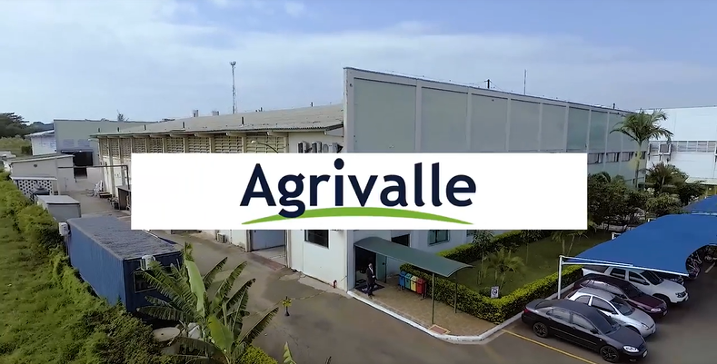 Agrivalle apresenta o impacto da sustentabilidade para o sojicultor em novo Webinar