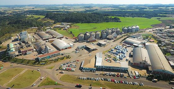 Copercampos completa 51 anos com investimentos em produção de ovos férteis